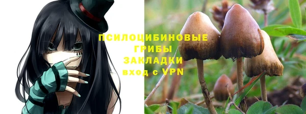 прущие крисы Вязники