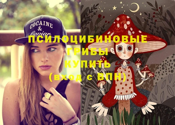 прущие крисы Вязники