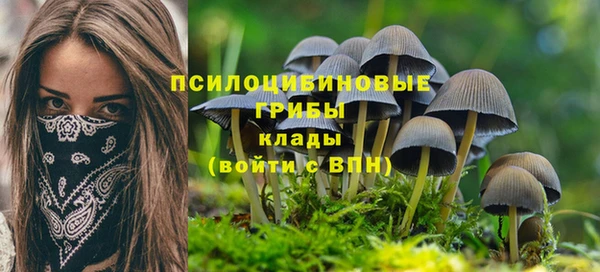 героин Вяземский