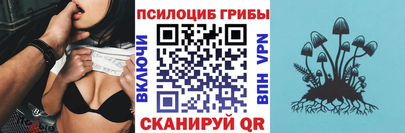 Галлюциногенные грибы GOLDEN TEACHER  Купить закладки  Снежногорск 