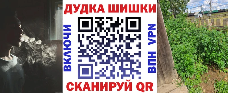 Шишки марихуана OG Kush  Купить закладки  Снежногорск 